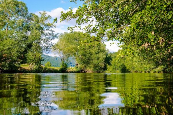 kinzig-shore-trees-mirroring-black-forest-158361-e1536229304509-600x400